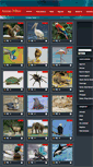 Mobile Screenshot of animalstodraw.com